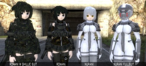 Introduction picture